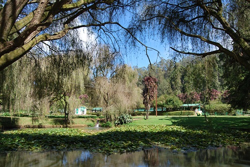 Botanical garden Ooty