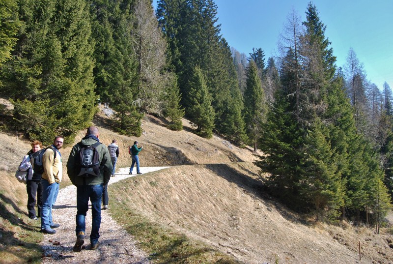 Foresta dei Draghi - Trentino