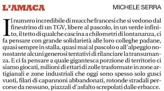 Amaca Michele Serra Mucche