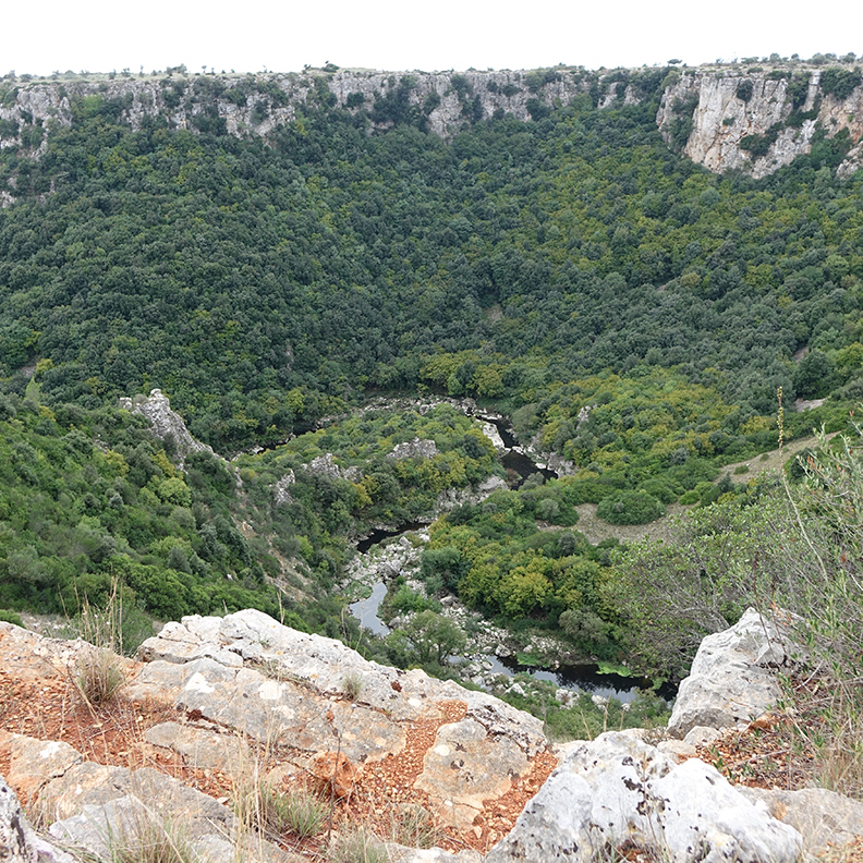 TEINET-percorso-enogastronomico-Gravina-Laterza-canyon-pugliese
