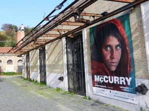McCurry Macro Roma